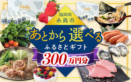 [あとから選べる]糸島市ふるさとギフト 300万円分 コンシェルジュ 糸島 後から選べる ふるさと納税後から [AZZ014] あとからギフト あとからギフト あとからギフト あとからギフト あとからギフト あとからギフト あとからギフト