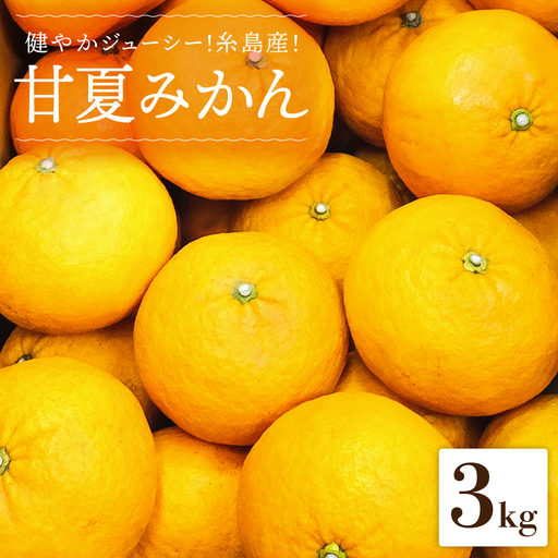 健やかジューシー・夏の味 糸島産甘夏みかんM?L玉・約3kg  二丈赤米産直センター [ABB008]