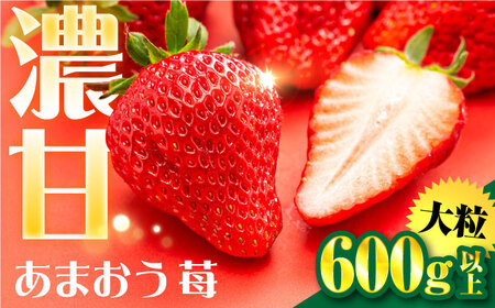 [化粧箱]あまおう いちご 600g以上 糸島市 / 株式会社フルコンス