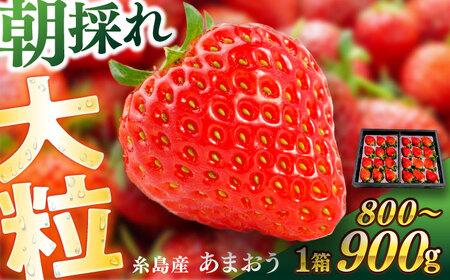 糸島産 あまおう 1箱(800-900g) 糸島市 / 平山農園