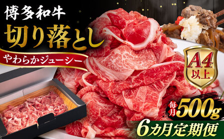 yS6ցzyA4/A5za ؂藎Ƃ 500g  s / qT_t[Y јa  XCX  [AIA097]