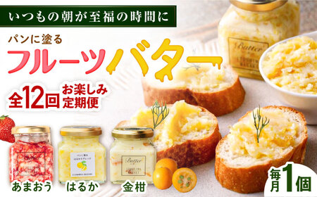 【全12回定期便】お楽しみ定期便 フルーツバター大1個 糸島市/糸島正キ ジャム クリーム 果物 [AQA064]