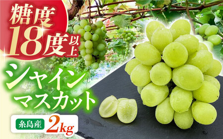 ystzyx18xȏz Y VC}XJbg 2kgy2026N8{菇z s / aGRt@[ t[c ʕ [AVI007]