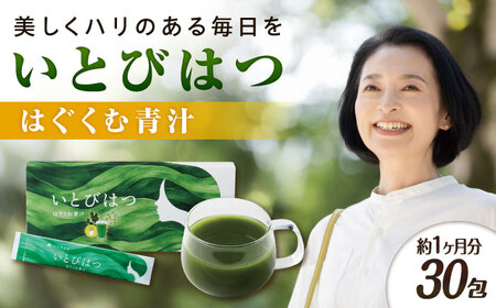 30@Ƃт͂ ͂ސ` s / Ѓs[ [AZA264]