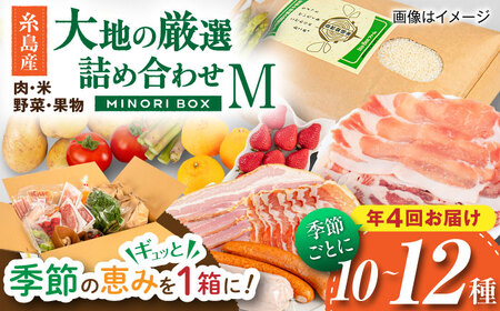 【全4回定期便】糸島産 肉 米 野菜 果物 厳選詰め合わせ MINORI BOX Mサイズ【季節ごとに年4回お届け】 糸島市 / emma.Inc / 米 肉 野菜 果物 詰め合わせ [AOP002]