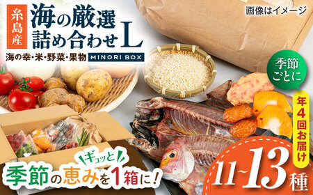 【全4回定期便】 糸島産 魚 米 野菜 果物 厳選詰め合わせ MINORI BOX Lサイズ【季節ごとに年4回お届け】　糸島市 / emma.Inc / 米 魚 野菜 果物 詰め合わせ [AOP006]