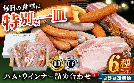 yS6ցz_DLG܁E܎܁I^̗z n 6 Zbg 6 s / uX[NnEX n \[Z[W Hה [AOA051]