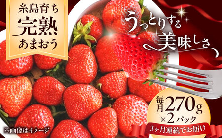 [全3回定期便]福岡県 糸島市産 完熟 あまおう いちご (約270g×2パック) [2026年4月以降順次発送] 糸島市 / mhshops / 苺 イチゴ