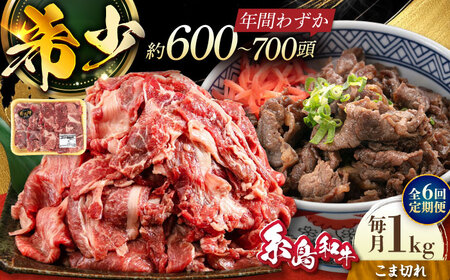 [全6回定期便]希少和牛!糸島和牛 こまぎれ 1kg 糸島市 / トラヤミートセンター 牛肉 黒毛和牛