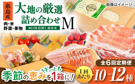 yS6ցzY    ʕ Ilߍ킹 MINORI BOX MTCY s / emma.Inc /    ʕ lߍ킹[AOP013]