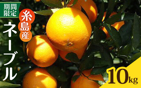 �y��s��t�z�����Y�l�[�u��10kg �y2026�N2�����{�ȍ~���������z �����s / �V�[�u �݂��� ���k[AHC069]