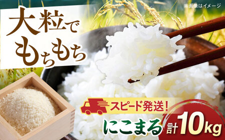 【令和7年産】【スピード発送】にこまる  白米 10kg(10キロ) 糸島市産 糸島市 / 糸島の恵み [AGR002] お米 