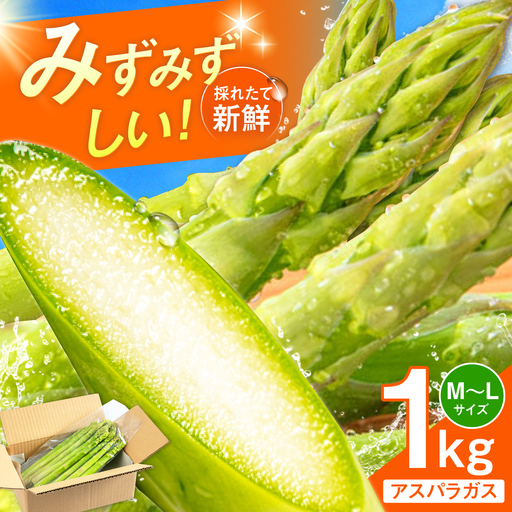 採れたてを直送!糸島野菜 アスパラガス 1kg (M-Lサイズ) 糸島市 / しろファーム 野菜 アスパラ