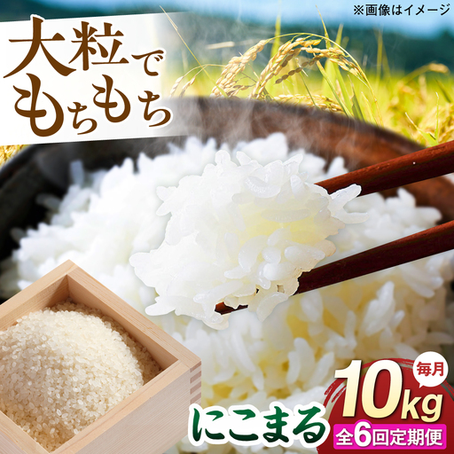 【全6回定期便】 にこまる 玄米品質1等米 白米 10kg 糸島市産 糸島市 / 糸島の恵み コメ こめ ご飯[AGR012]