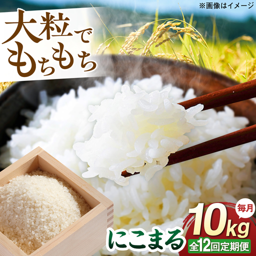【全12回定期便】 にこまる 玄米品質1等米 白米 10kg 糸島市産 糸島市 / 糸島の恵み コメ こめ ご飯[AGR013]