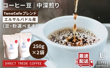 中深煎り コーヒー 豆 タナカフェブレンド 250g × 2袋( 豆 ・ 粉 選べます ) [糸島] [COFFEE UNIDOS] [AQF011] コーヒーコーヒーコーヒーコーヒーコーヒーコーヒーコーヒーコーヒー