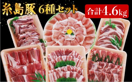 合計4.6kg!糸島豚食べ尽くしセット(とんかつ、肩ロース、しゃぶしゃぶ、豚バラ、スペアリブ、小間切れ) トラヤミートセンター [糸島市][AJD005] 国産 豚肉 とんかつ 肩ロース しゃぶしゃぶ スペアリブ 豚肉国産 詰め合わせ 