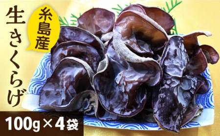 生きくらげ 100g×4P 福岡県糸島産 糸島市/糸島きのこファーム [AFC004] キクラゲ きくらげ 木耳 生 生きくらげ 国産 きくらげ専門店