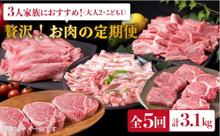 贅沢お肉の定期便 全5回 (月1回) 3人用 (福岡 糸島産 牛肉 豚肉 鶏肉 ステーキ しゃぶしゃぶ すき焼き ヒレ シャトーブリアン ロース)[糸島市][糸島ミートデリ工房][ACA084] ステーキ ヒレ 肉定期便 フィレ ヘレ 牛肉 赤身 黒毛和牛 和牛 肉 牛 フィレ 希少部位 希少部位 厚切り 極厚 高級 高級 しゃぶしゃぶ 焼肉 焼き肉セット 人気セット 人気 和牛 華豚 地鶏 バーベキュー BBQ すき焼き 国産 黒毛和牛