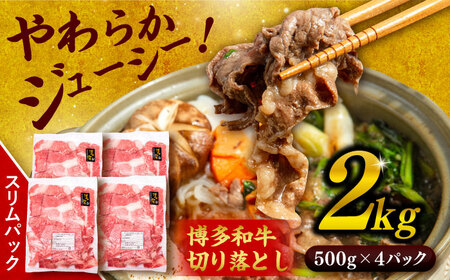  a ؂藎Ƃ 2kg ( 500g × 4P )  yKhYz  [ABH009]   Ⴊ Ă uߕ p  LO  lC 