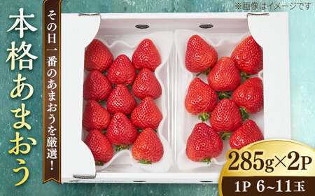 ys\zy̓Ԃ̂܂𑦓oׁIz {i ܂ ( 285g × 2pbN) y2026N1ȍ~z  s / ݂̂̂ [ABD002] LO  lC 