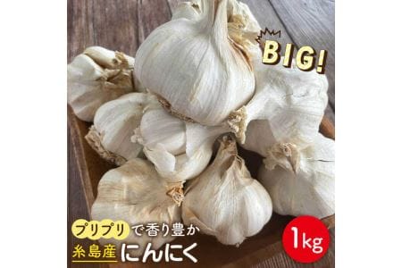 にんにく 1kg 数量限定《糸島》【爽風農園】【いとしまごころ】[AHZ002]