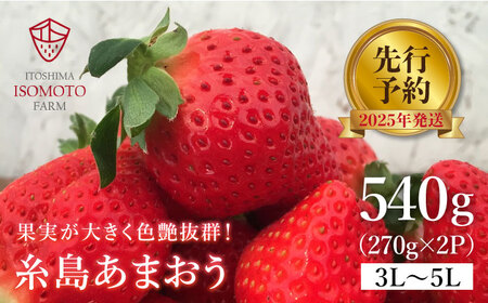 [先行予約]糸島の美味い あまおう 270g × 2パック (A品B品含む3L〜5L) [2025年1月以降順次発送] 糸島市 / 磯本農園 / TANNAL [ATB003] いちご 苺 イチゴ