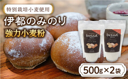 特別栽培小麦使用 伊都のみのり（500g×2袋）《糸島》【天然パン工房楽楽】【いとしまごころ】[AVC002] 小麦 小麦粉 強力 強力粉 特別栽培 パン ぱん ブラン トースト 小麦粉小麦 小麦粉強力 小麦粉強力粉 小麦粉特別栽培 小麦粉パン 小麦粉ぱん 小麦粉ブラン 小麦粉トースト 小麦粉ブレッド 小麦粉国産