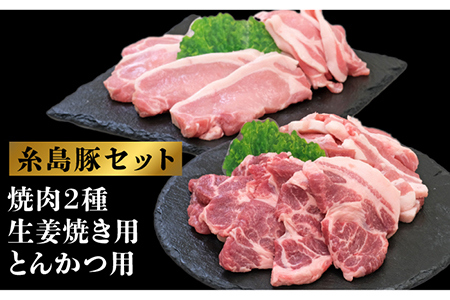 『糸島豚肉セット』糸島市 / JA糸島産直市場 伊都菜彩 [AED003] 豚肉 詰め合わせ セット ブタ ぶた ロース 豚バラ とんかつ 冷凍 詰め合わせ ブタ ぶた 豚肉ロース 豚バラ ばら とんかつ 冷凍 トンカツ