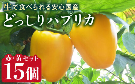 糸島産 肉厚 パプリカ 15個 福岡県 糸島市 / シーブ [AHC032] ピーマン ピーマン ピーマン ピーマン ピーマン ピーマン ピーマン 
