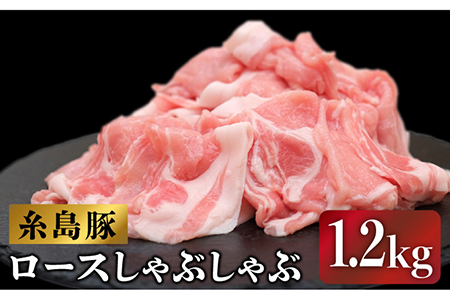 糸島豚ロースしゃぶしゃぶセット 糸島市 / JA糸島産直市場 伊都菜彩[AED002] 豚肉 ロース ブタ ぶた しゃぶしゃぶ 豚 国産 スライス 豚しゃぶ 豚肉 豚肉ロース ブタ ぶた 豚 国産 豚肉スライス 豚しゃぶ 小分け