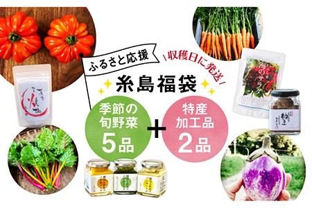 ☆ふるさと応援!糸島の福袋☆朝採り季節のオーガニック旬野菜お任せ5品+糸島産大ヒット特産加工品2品(ジャム、ドレッシング、醤油、天然塩、乾物、佃煮、お漬物、etc…)7セット [糸島市][AGE028] 福袋 野菜 やさい 加工品 セット 詰め合わせ やさい 詰め合わせ