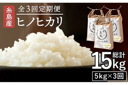 [全3回定期便]糸島産 ヒノヒカリ 5kg×3回 糸島市 / 糸島王丸農園 ( 谷口汰一 )[いとしまごころ] [AAZ011] 白米白米白米白米白米白米白米白米