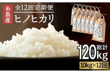 【全12回定期便】糸島産 ヒノヒカリ 10kg×12回　糸島市 / 糸島王丸農園 ( 谷口汰一 )【いとしまごころ】 [AAZ017]