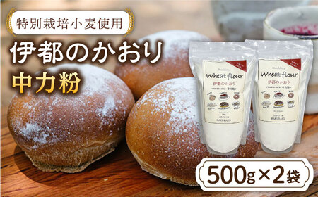 特別栽培小麦使用「伊都のかおり」500g×2袋 《糸島》【天然パン工房楽楽】 【いとしまごころ】[AVC052] 米粉 パン用 パン 冷凍 詰め合わせ グルテンフリー 米粉パン 小麦粉国産小麦 小麦粉オーガニック 小麦粉中力粉 小麦粉パン 小麦粉ぱん