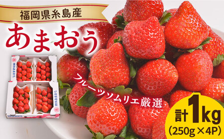 [先行予約]糸島産[冬] あまおう 4パック [2024年12月上旬以降順次発送][糸島][南国フルーツ株式会社] [AIK006] いちご 苺 イチゴ あまおう 果物 フルーツ ストロベリー グルメ パフェ ケーキ パンケーキ 苺 ギフト 贈り物 博多あまおう 福岡 九州いちご イチゴ ギフト 贈答 ケーキ タルト 贈り物 プレゼント 数量限定 期間限定 果物 南国 4パック 4P 九州 博多