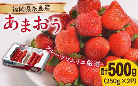 [先行予約]糸島産[冬] あまおう 2パック [2024年12月上旬以降順次発送] [糸島][南国フルーツ株式会社] [AIK007] いちご 苺 イチゴ あまおう 果物 フルーツ ストロベリー グルメ パフェ ケーキ パンケーキ 苺 ギフト 贈り物 博多あまおう 福岡 九州いちご イチゴ ギフト 贈答 ケーキ タルト 贈り物 プレゼント 数量限定 期間限定 果物 南国 2パック 2P 九州 博多