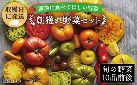 朝採れ!糸島野菜セット(10品前後) [糸島市][オーガニックナガミツファーム] [AGE003] 野菜セット やさい サラダ 詰め合わせ トマト とまと やさい 野菜サラダ 詰め合わせ トマト とまと ベビーリーフ 水菜 ハーブ オクラ 人参 にんじん ニンジン ほうれん草 クレソン かぼちゃ カボチャ じゃがいも 玉ねぎ