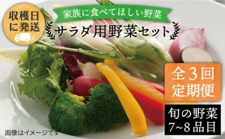 [全3回定期便][福岡県糸島産]朝採れ サラダ用 野菜 セット [糸島市][オーガニックナガミツファーム] [AGE005] 野菜セット やさい サラダ 詰め合わせ トマト とまと やさい 野菜サラダ 詰め合わせ トマト とまと ベビーリーフ 水菜 ハーブ オクラ 人参 にんじん ニンジン ほうれん草 クレソン かぼちゃ カボチャ じゃがいも 玉ねぎ