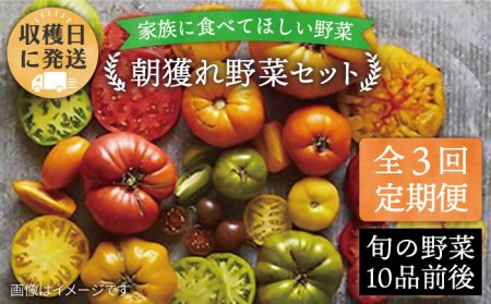 [全3回定期便][福岡県 糸島産]朝採れ 野菜 セット(10品前後) [糸島市][オーガニックナガミツファーム] [AGE006] 野菜セット やさい サラダ 詰め合わせ トマト とまと やさい 野菜サラダ 詰め合わせ トマト とまと ベビーリーフ 水菜 ハーブ オクラ 人参 にんじん ニンジン ほうれん草 クレソン かぼちゃ カボチャ じゃがいも 玉ねぎ