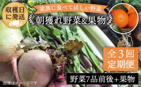 [全3回定期便]こだわり野菜 (7品前後) セット + 果物 [糸島市][オーガニックナガミツファーム] [AGE007] 野菜セット やさい サラダ 詰め合わせ トマト とまと やさい 野菜サラダ 詰め合わせ トマト とまと ベビーリーフ 水菜 ハーブ オクラ 人参 にんじん ニンジン ほうれん草 クレソン かぼちゃ カボチャ じゃがいも 玉ねぎ