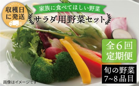 オーガニックサラダ セットの返礼品 検索結果 | ふるさと納税サイト