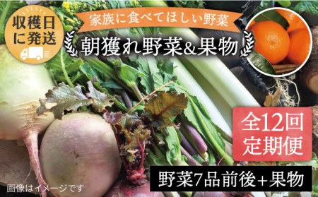 [全12回定期便]こだわり 野菜 (7品前後) セット + 果物 [糸島][ オーガニックナガミツファーム][AGE013] 旬の野菜セット旬の野菜セット旬の野菜セット旬の野菜セット旬の野菜セット旬の野菜セット旬の野菜セット旬の野菜セット