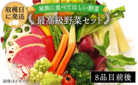 [ 栽培期間中農薬 ・ 化学肥料 不使用 ]こだわり 高級 野菜 セット[糸島市][オーガニックナガミツファーム][AGE014] 野菜セット やさい サラダ 詰め合わせ トマト とまと やさい 野菜サラダ 詰め合わせ トマト とまと ベビーリーフ 水菜 ハーブ オクラ 人参 にんじん ニンジン ほうれん草 クレソン かぼちゃ カボチャ じゃがいも 玉ねぎ