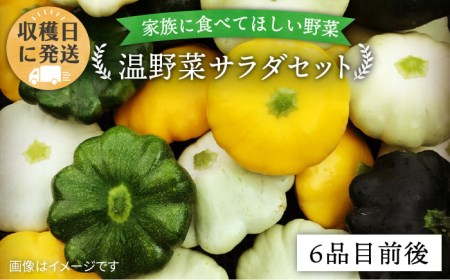 [ 栽培期間中農薬 ・ 化学肥料 不使用 ] 温野菜 サラダ セット ( 6品前後 ) [糸島市][オーガニックナガミツファーム] [AGE015] 野菜セット 野菜 やさい サラダ 詰め合わせ トマト とまと やさい 野菜サラダ 詰め合わせ トマト とまと ベビーリーフ 水菜 ハーブ オクラ 人参 にんじん ニンジン ほうれん草 クレソン かぼちゃ カボチャ じゃがいも 玉ねぎ