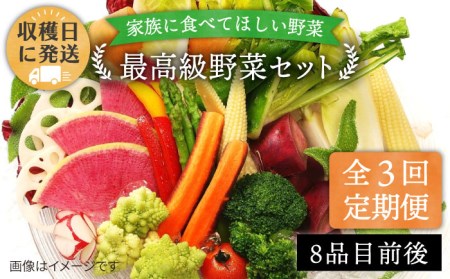 [全3回定期便][栽培期間中農薬・化学肥料不使用]こだわり 野菜 セット ( 8品前後 ) [糸島市][オーガニックナガミツファーム] [AGE016] 野菜セット やさい サラダ 詰め合わせ トマト とまと やさい 野菜サラダ 詰め合わせ トマト とまと ベビーリーフ 水菜 ハーブ オクラ 人参 にんじん ニンジン ほうれん草 クレソン かぼちゃ カボチャ じゃがいも 玉ねぎ