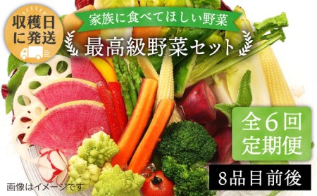 [ 全6回 定期便 ][ 農薬・化学肥料 不使用 ]こだわり 野菜 セット ( 8品 前後 ) [糸島][オーガニックナガミツファーム] [AGE017] 旬の野菜セット旬の