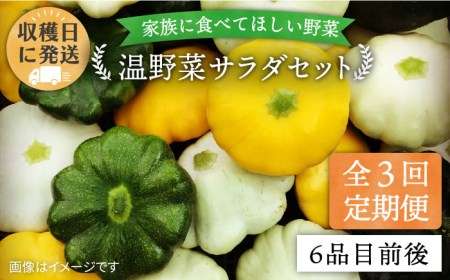 [全3回定期便]朝採れ 温野菜 サラダ セット (6品前後) [糸島市][オーガニックナガミツファーム] [AGE019] 野菜セット 野菜 やさい サラダ 詰め合わせ トマト とまと やさい 野菜サラダ 詰め合わせ トマト とまと ベビーリーフ 水菜 ハーブ オクラ 人参 にんじん ニンジン ほうれん草 クレソン かぼちゃ カボチャ じゃがいも 玉ねぎ