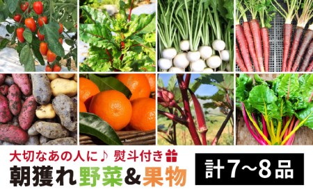 旬 野菜 + プレミアム 野菜 + 果物 ( 合計7-8品 )セット[熨斗付き][糸島市][オーガニックナガミツファーム] [AGE022] やさい 詰め合わせ 旬 ギフト 贈り物 贈答 のし プレゼント やさい 詰め合わせ 季節 朝採れ 畑直送 ギフト 贈り物 贈答 のし プレゼント