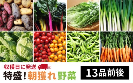 ☆特盛り!畑直送☆ 福岡県糸島産 朝採れ野菜セット(13品前後)オーガニックナガミツファーム[AGE023] 野菜 やさい 詰め合わせ 旬 季節 朝採れ 畑直送 野菜 野菜やさい 野菜詰め合わせ 野菜旬 野菜季節 野菜朝採れ 野菜畑直送